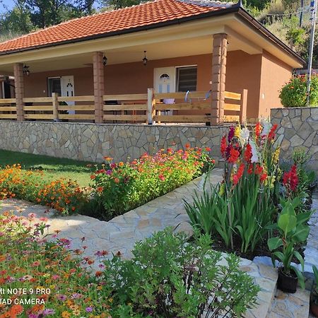 Vila Vera Borsko Jezero Exterior photo