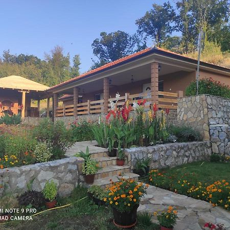 Vila Vera Borsko Jezero Exterior photo