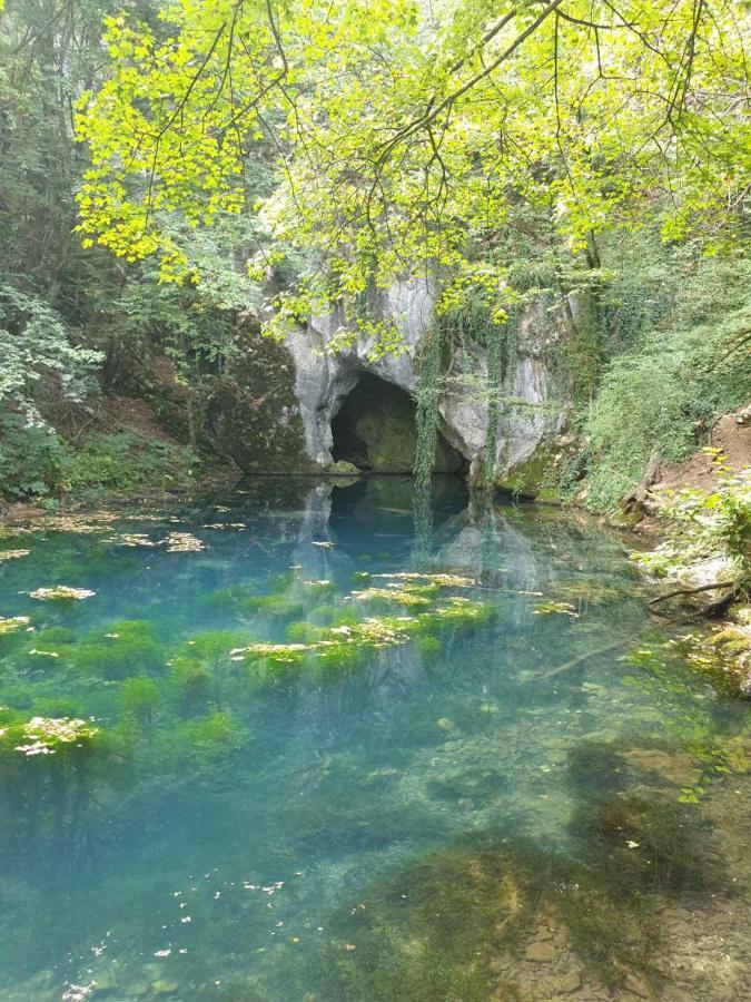 Vila Vera Borsko Jezero Exterior photo
